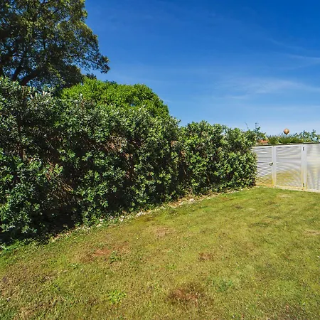 Viana Vista * Viana do Castelo